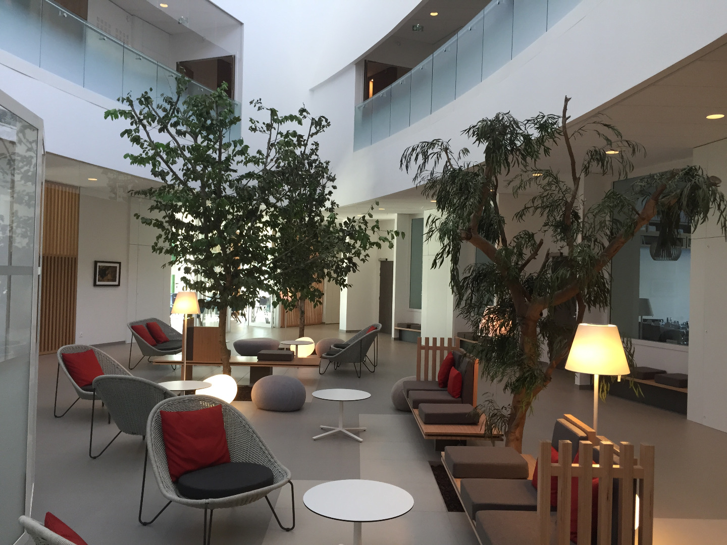 Réalisation d&rsquo;un Eucalyptus en végétaux stabilisé pour un hotel