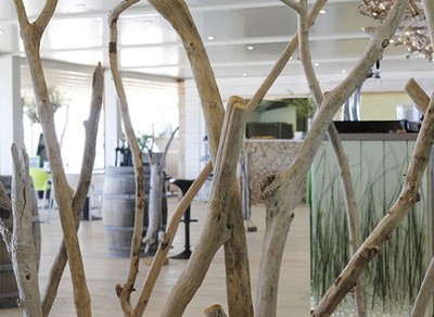 small-baia-web-10-613×448