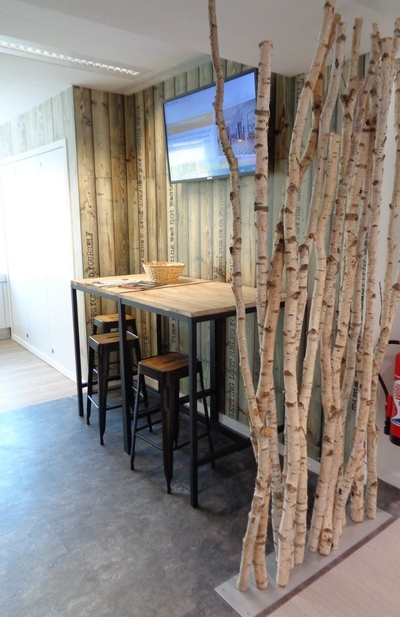 mur végétaux stabilisés et paravents en bois flotté et en troncs de bouleaux