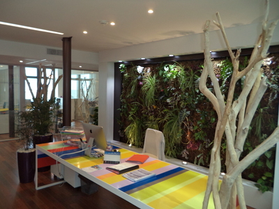Décoration avec des bois flotté pour les bureaux de Ametis à Marseille