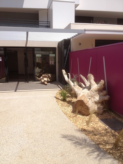 Troncs de bois flotté dans une résidence