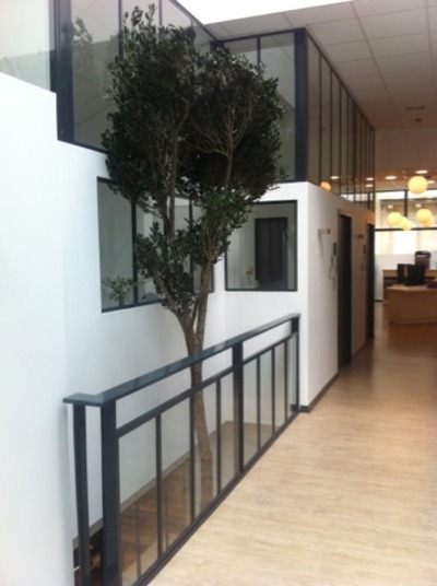 Réalisation d&rsquo;Arbres stabilisés pour un cabinet dentaire