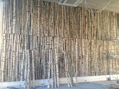 750 troncs de bouleaux pour recouvrir les murs d&rsquo;une association