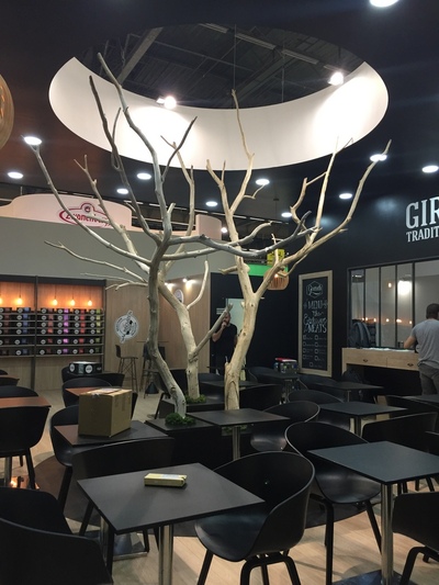 Arbres morts pour la décoration d&rsquo;un stand