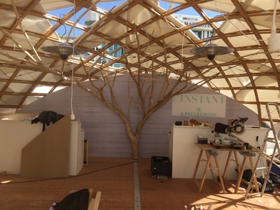 Un arbre en bois flotté au festival de Cannes