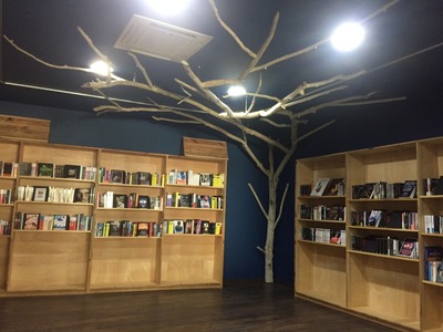 Un arbre en bois flotté dans une librairie